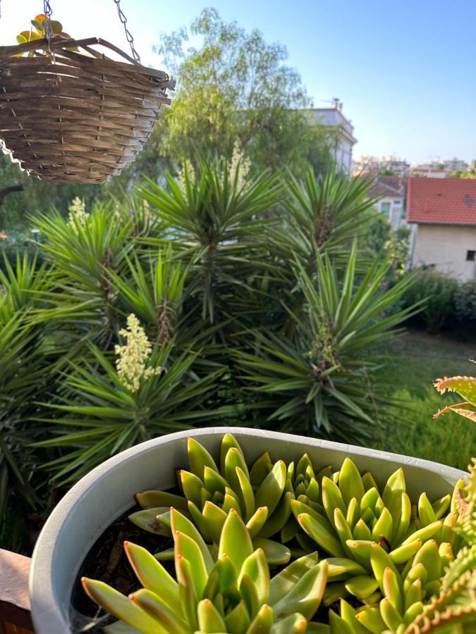 Location De Chambre Privee Dans Residence Securisee Privee,Parking Gratuit , 1 Minute Du Tramway, A 9 Minute Du Centre Ville, Accessible A Plusieurs Transports Ница Екстериор снимка